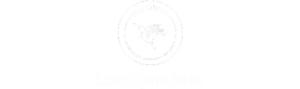 Laadliyan Gala